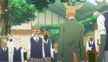 Beastars 2 Dublado Episodio 02