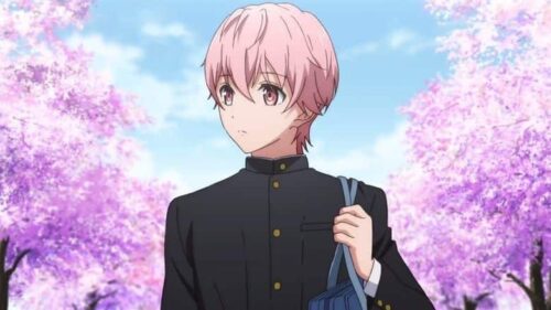 Kenka Banchou Otome: Girl Beats Boys – Episodio 06