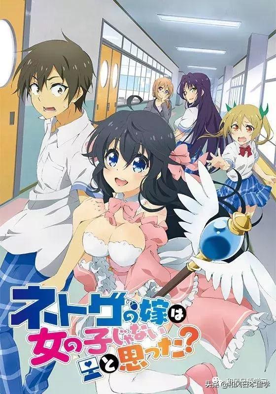 Netoge no Yome wa Onnanoko ja Nai to Omotta? – Todos os Episódios