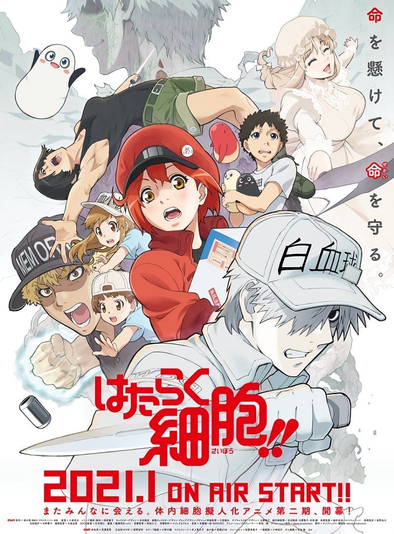 Hataraku Saibou 2 – Todos os Episódios