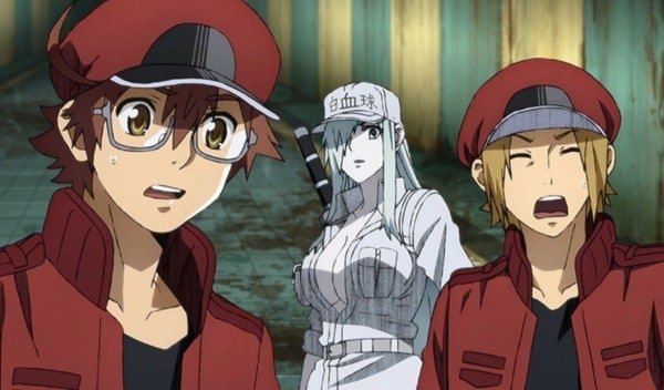 Hataraku Saibou Black – Episódio 08