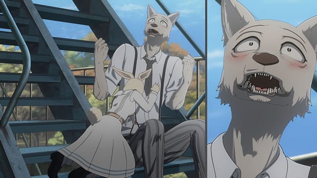 Beastars 2 Episódio 10