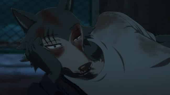 Beastars 2 Episódio 12